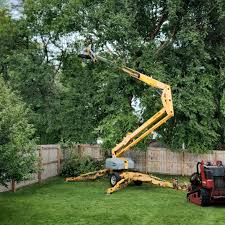 Best Storm Damage Tree Cleanup  in Eddyville, IA